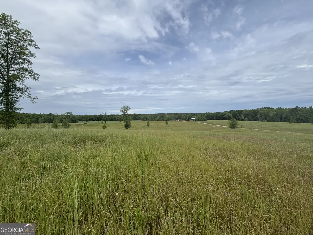 Picture 20