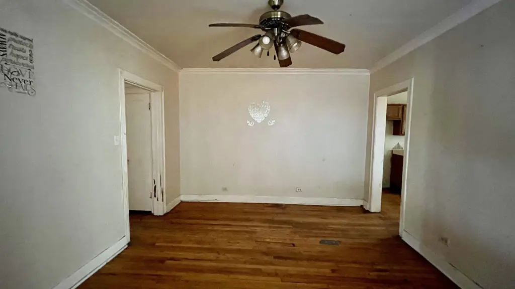 Picture 5