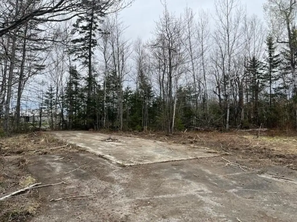 Picture 28