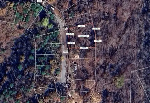 Beaver Lake Area Buildable Lots