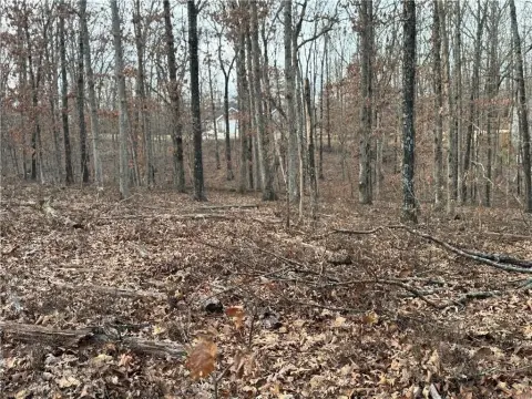 Wooded Lot in Bella Vista