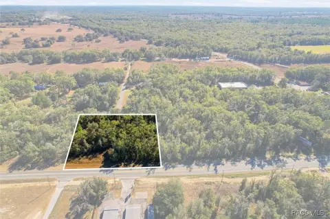 Commercial Land in Hernando, FL