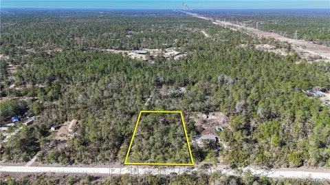 Tranquil Dunnellon Land Opportunity