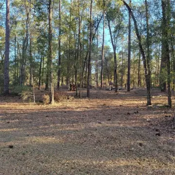 Inverness, FL Building Lot