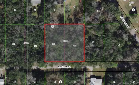 Wooded Lot in Crystal River