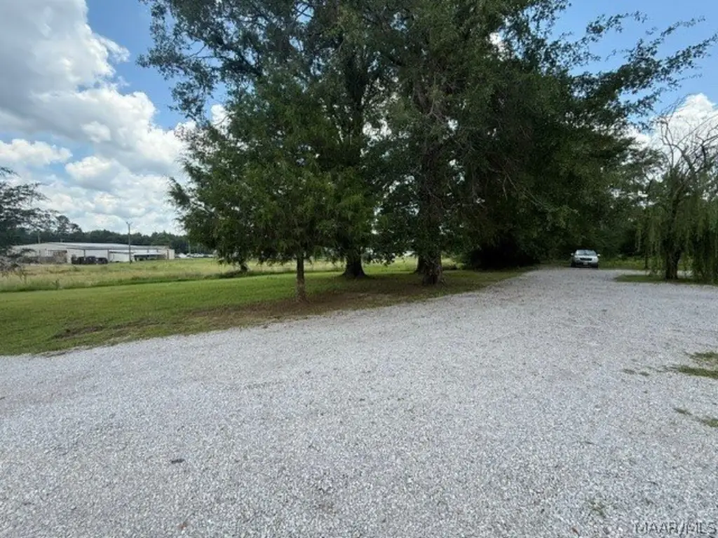 Picture 3