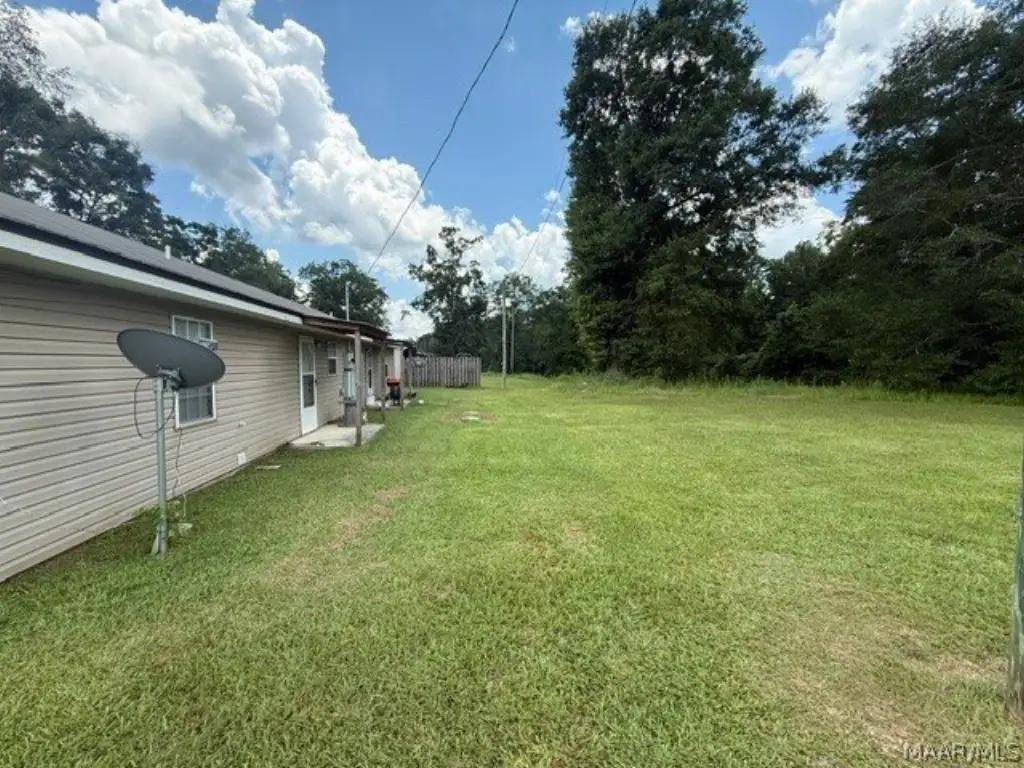 Picture 8