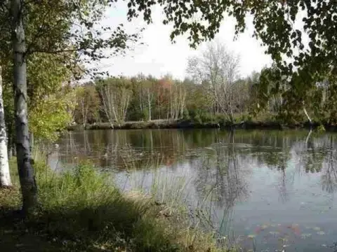 Waterfront Lot in Paddlers Cove