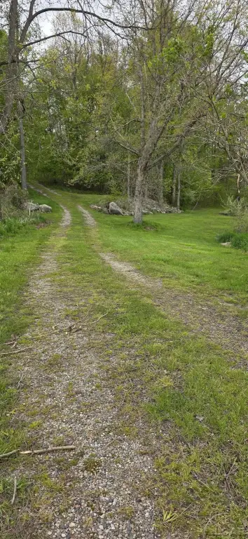 Picture 7