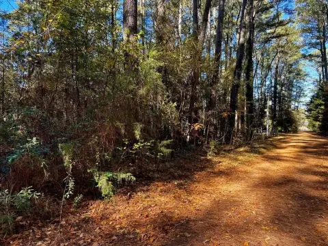 Wooded Lot Near Folly Creek