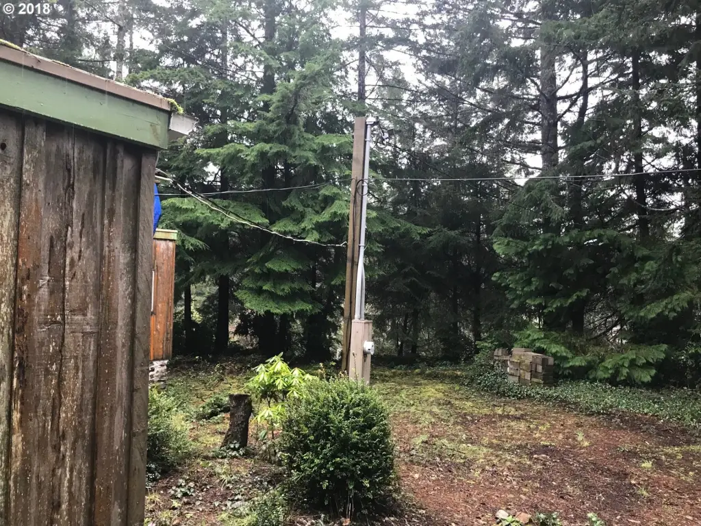 Picture 18