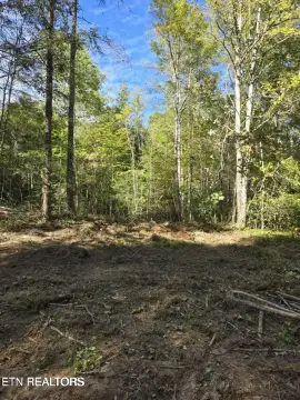 35-Acre Wooded and Open Land