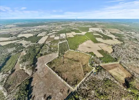 Kingstree Hunting and Recreational Tract