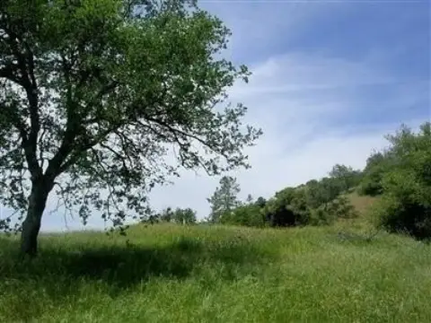 Sierra Foothill Views Land