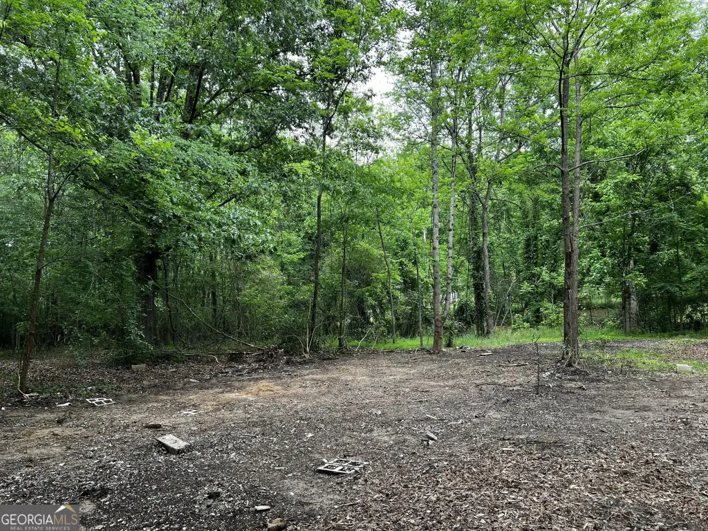 Picture 4