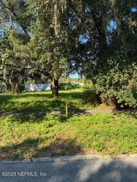 Land in Green Cove Springs