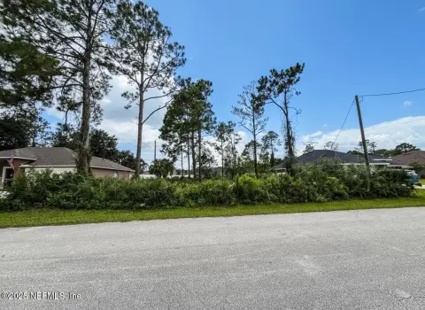 Residential Land in Palm Coast
