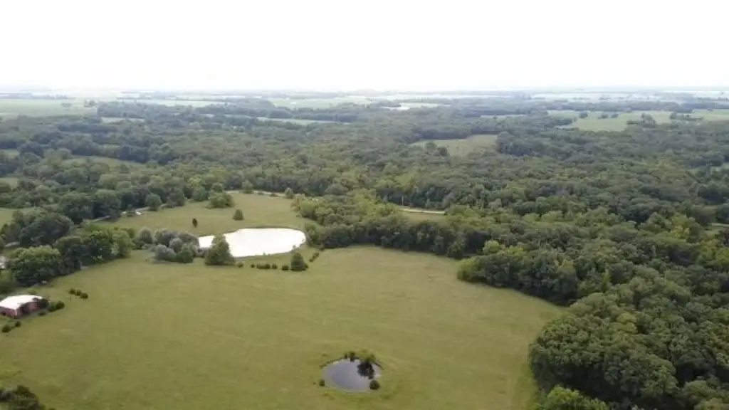 Picture 11