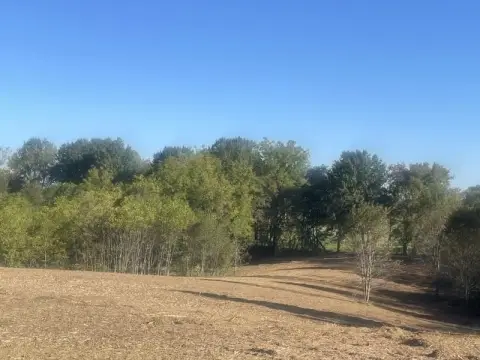 56.76 Acres Land Auction