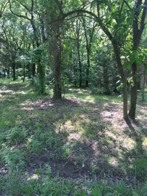 Recreational Land Bundle Near Sugar Valley