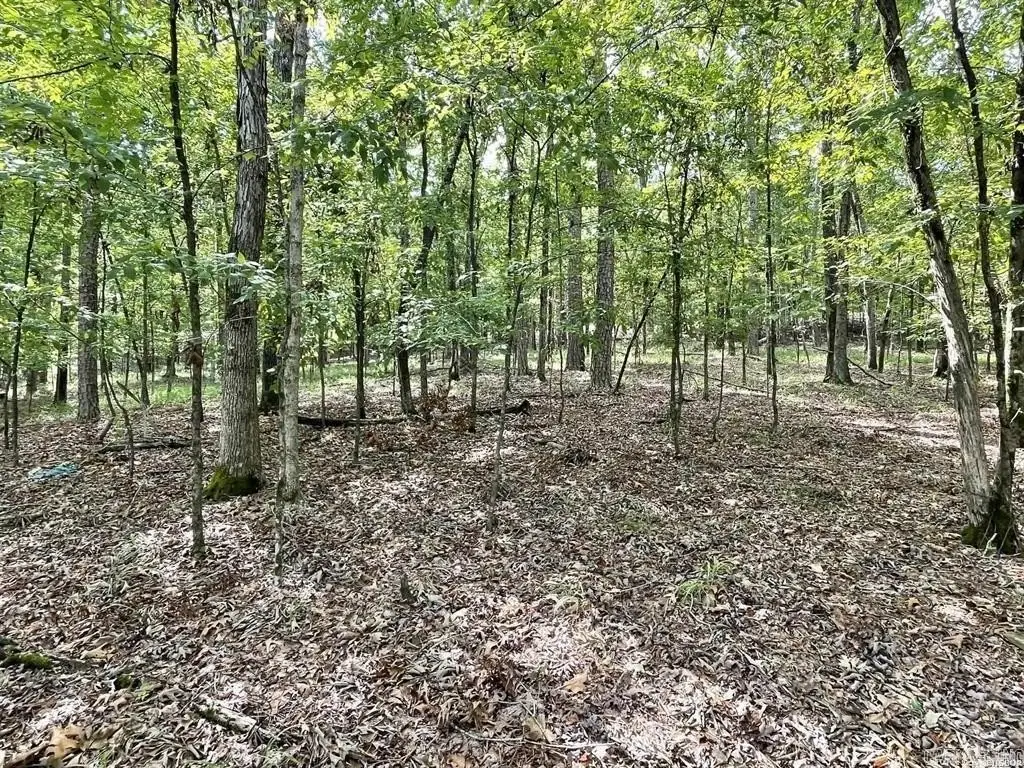 Picture 2