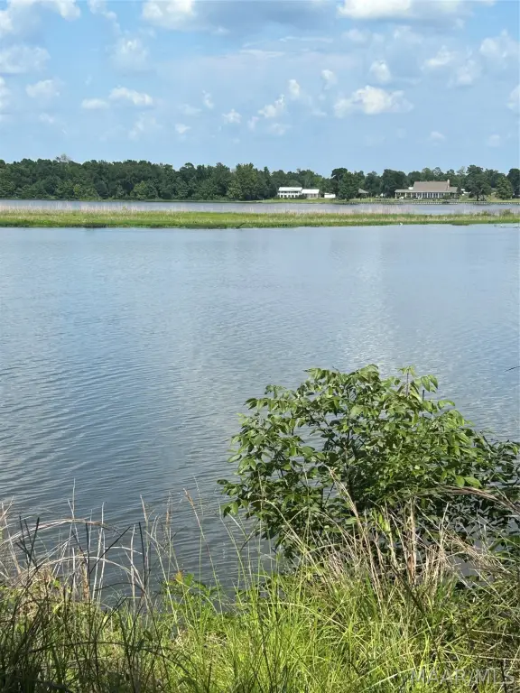 Picture 3
