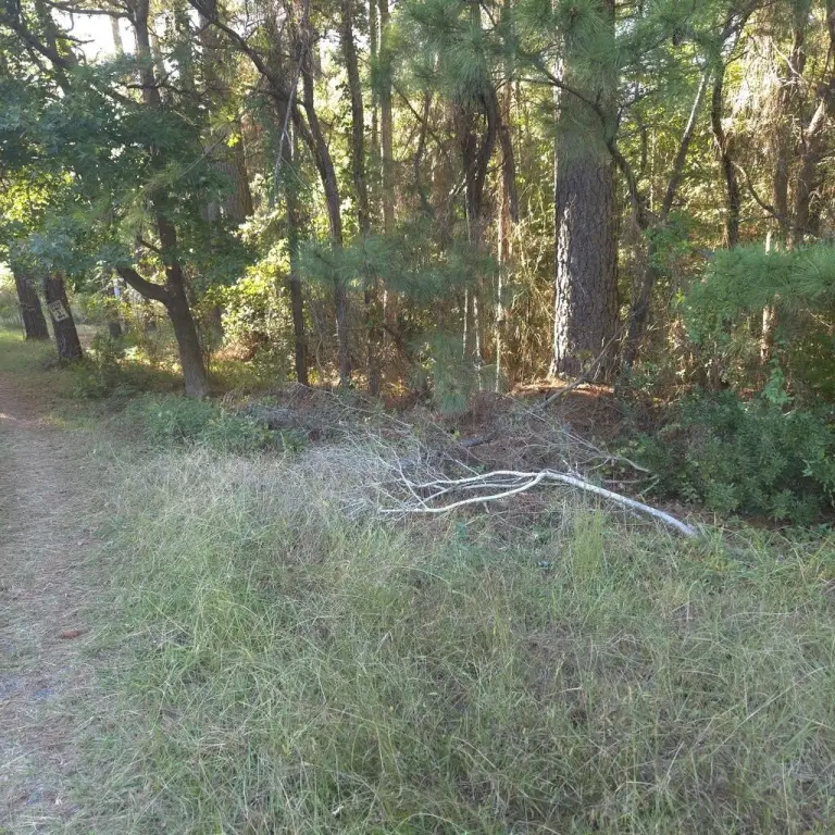 Picture 4