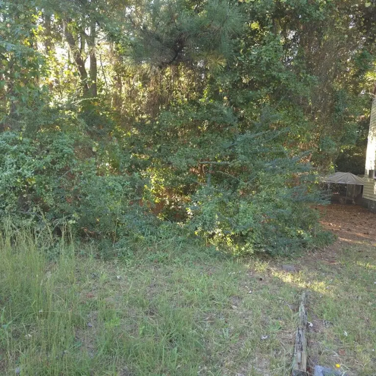 Picture 5