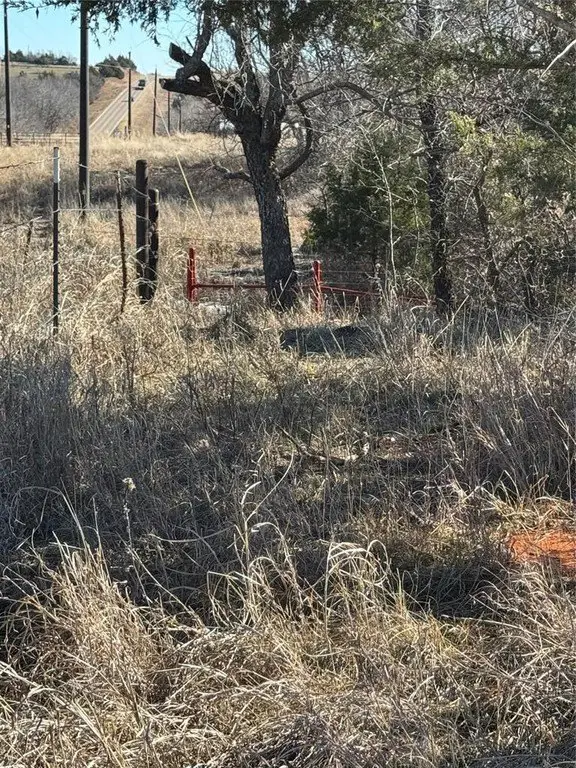 Picture 2
