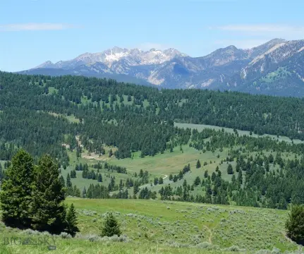 Spectacular View Lot in Big Sky