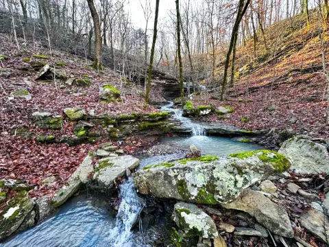 9.45 Acres of Hunting Land