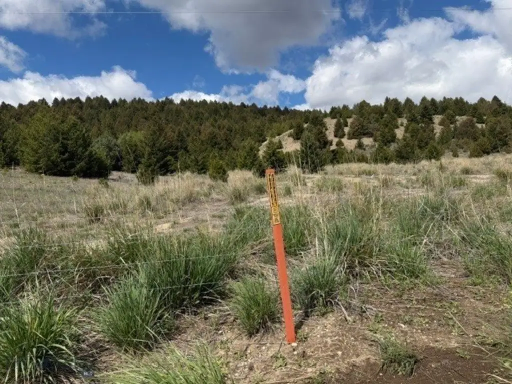 Picture 29