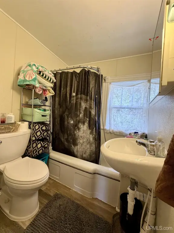 Picture 24