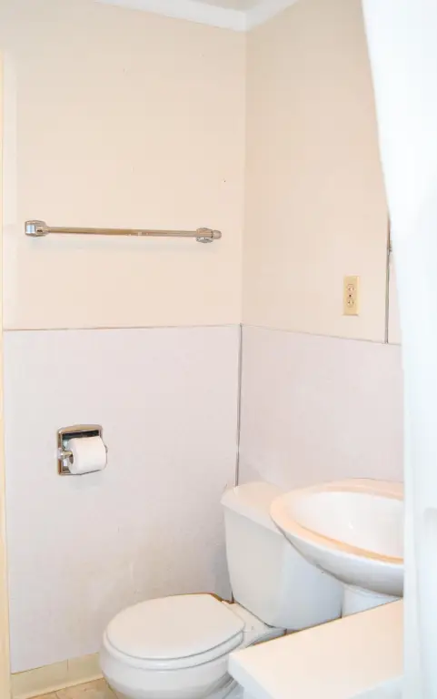 Picture 19