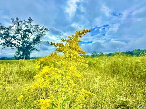 85 Acres Versatile Land