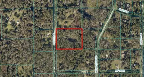 Williston Treed Land For Sale