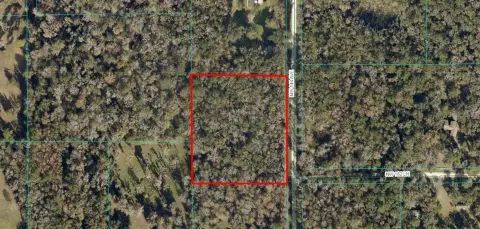 3.8 Acres Treed Lot Williston