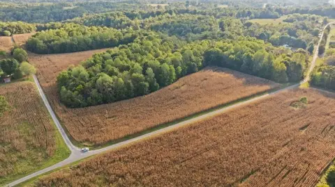 Scottsville, KY Land Auction