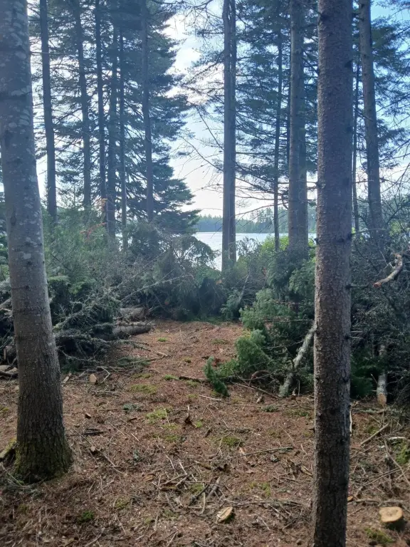 Picture 3