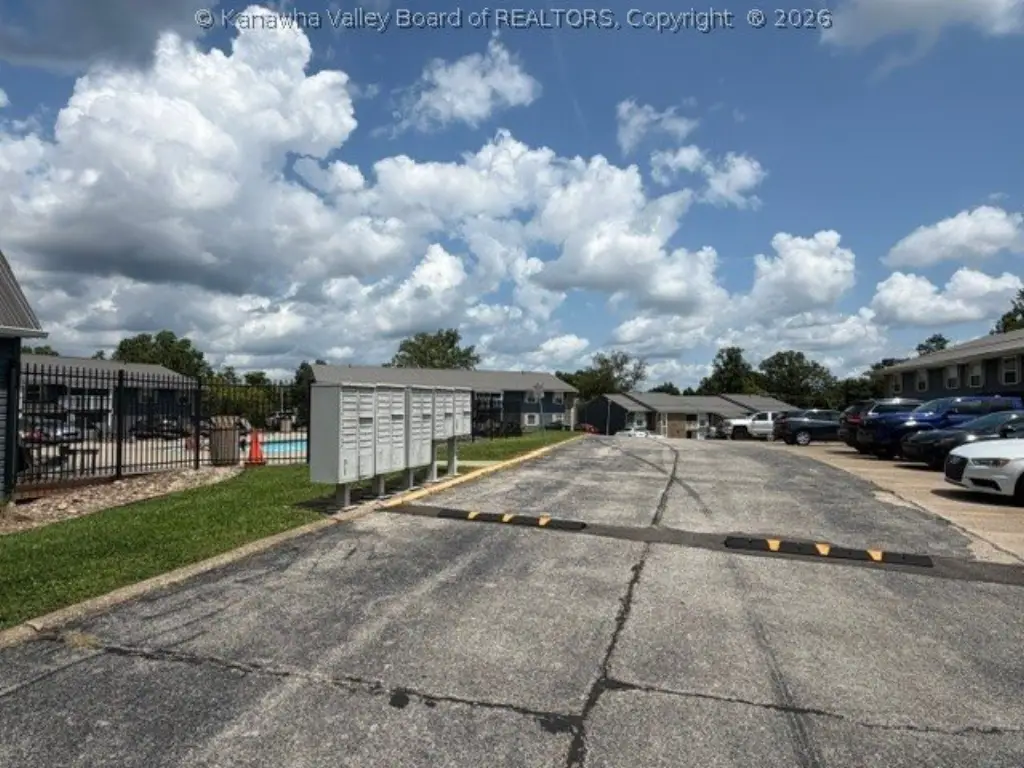 Picture 19