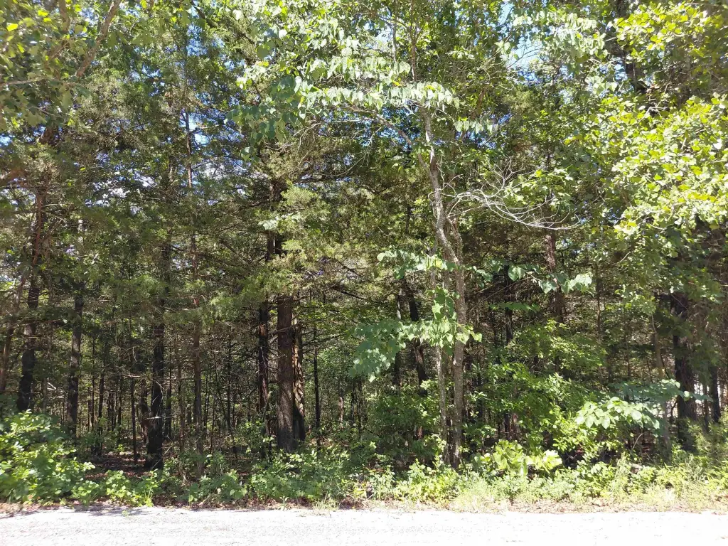 Picture 2