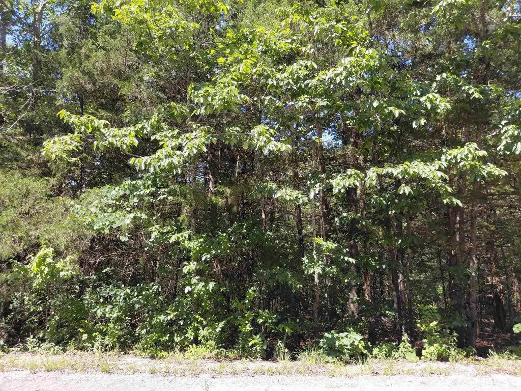 Picture 3