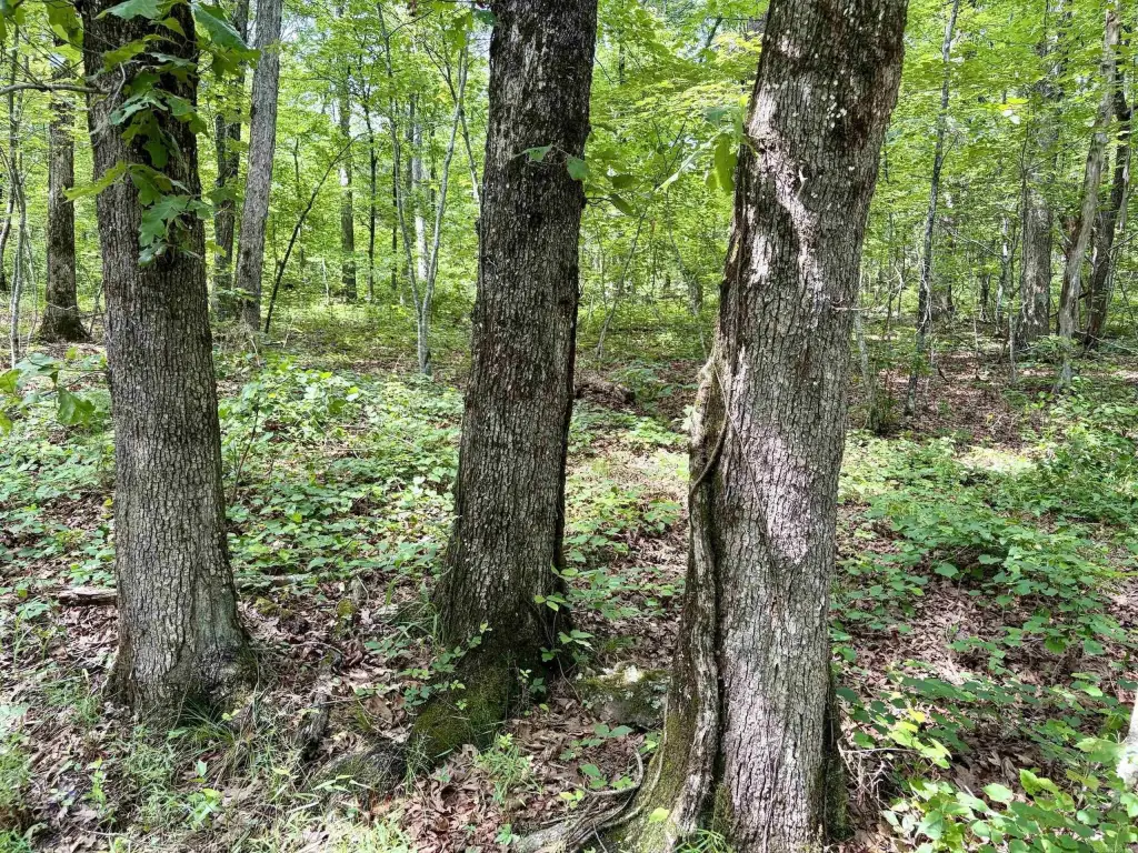 Picture 30
