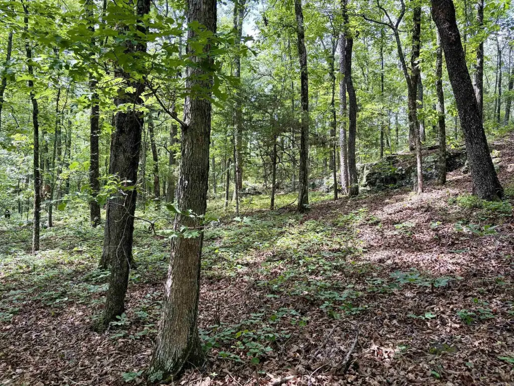 Picture 21