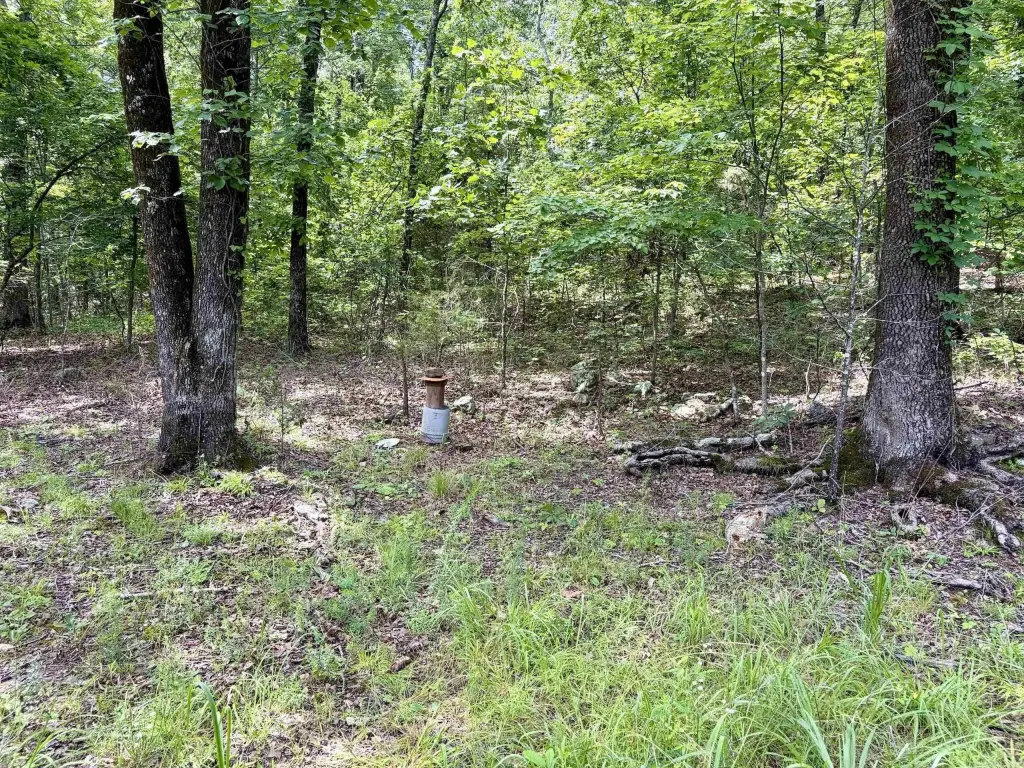 Picture 25
