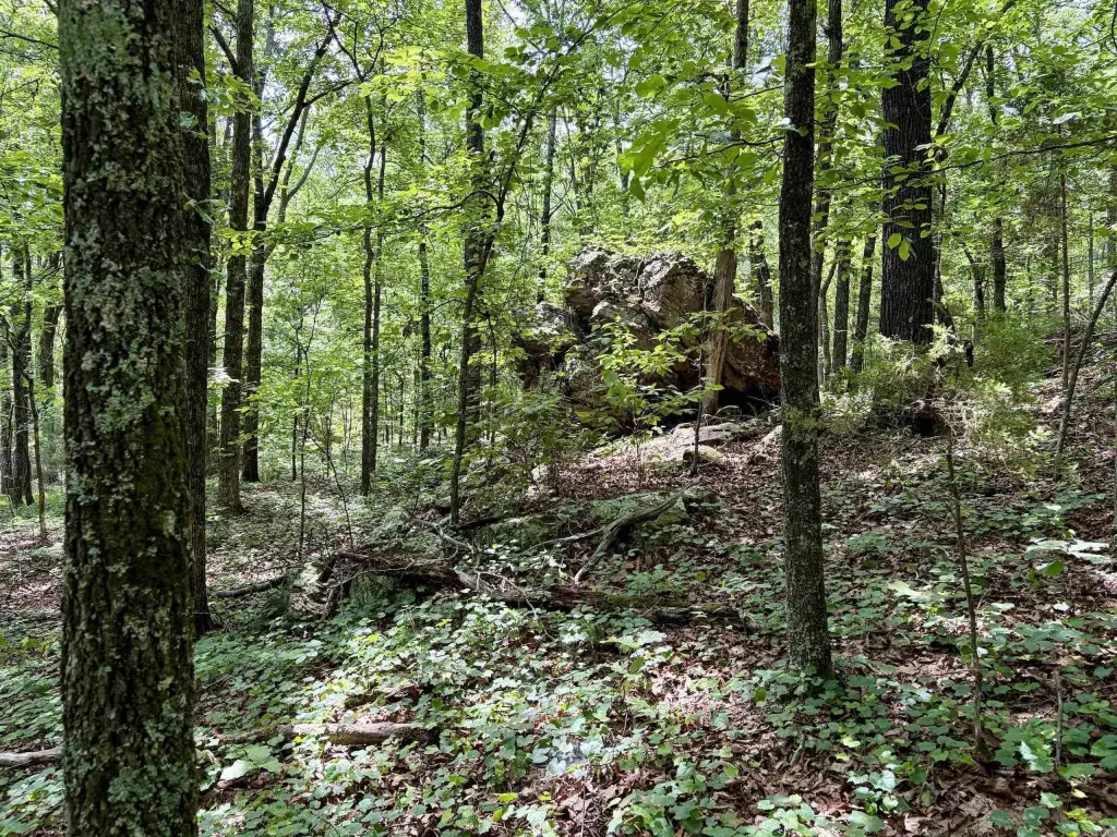 Picture 17
