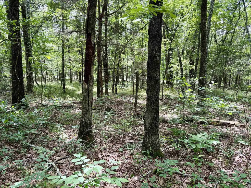 Picture 16