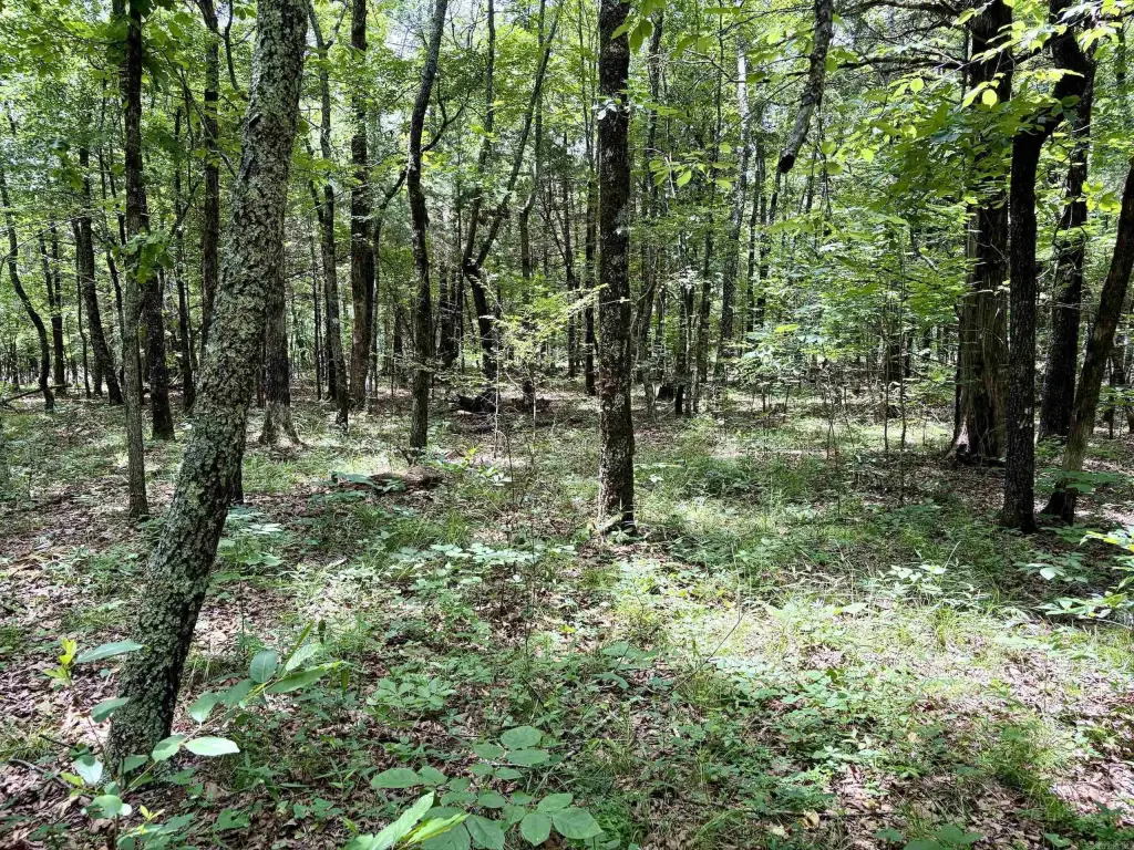 Picture 15