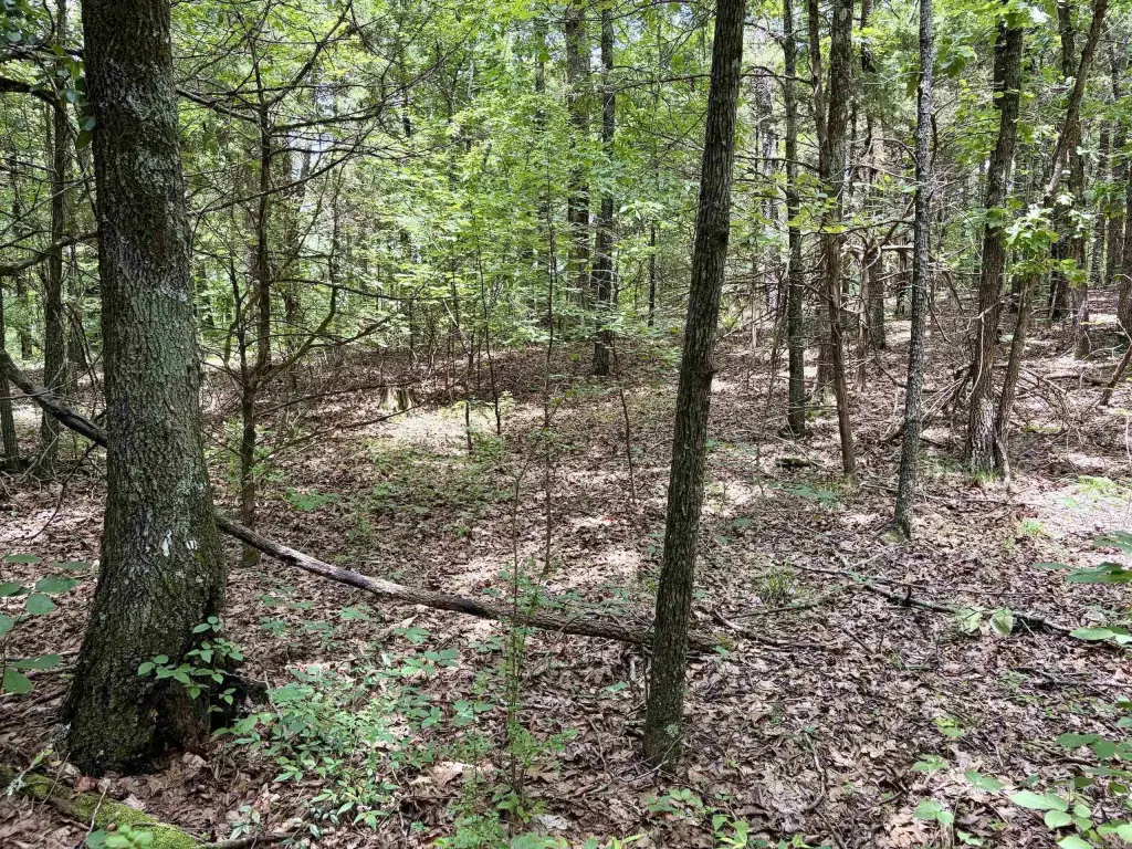 Picture 19