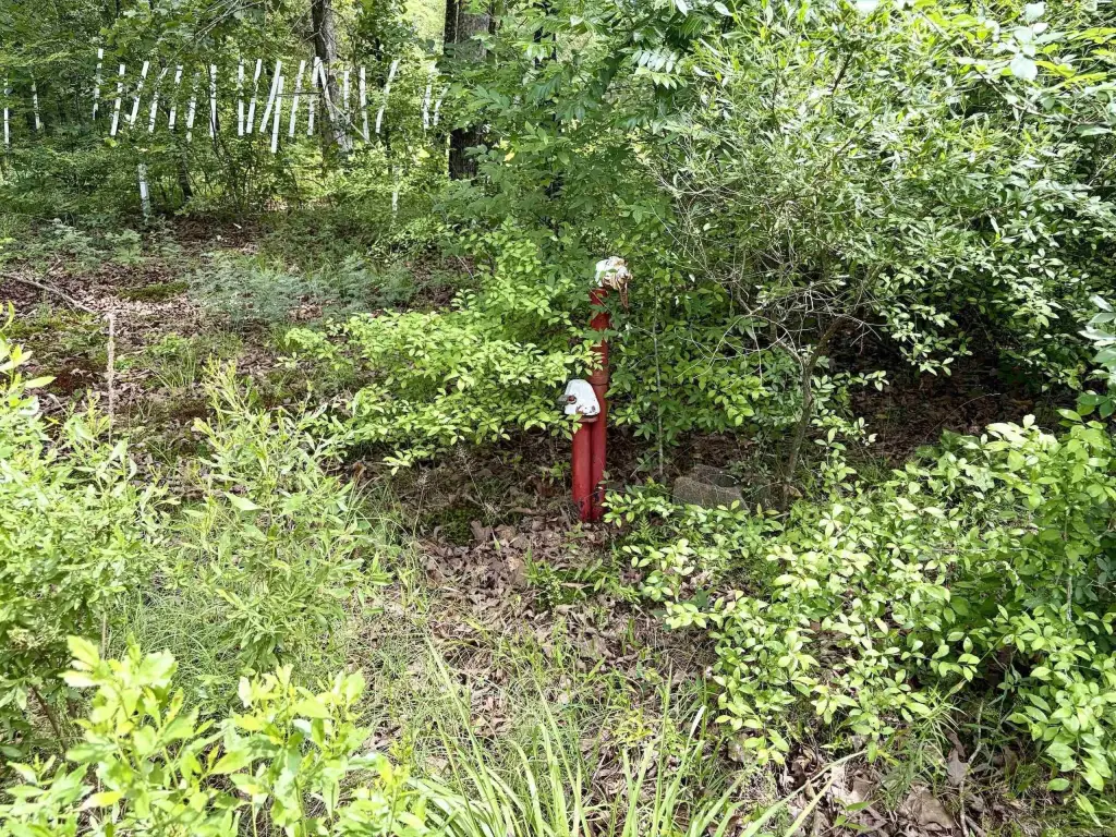 Picture 2